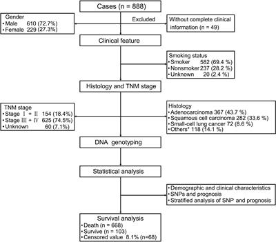 Associations Between CAMKK1 Polymorphism rs7214723 and the Prognosis of Patients With Lung Cancer